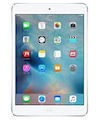 iPad Mini 2