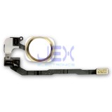 Gold Home Button/Touch Fingerprint ID Sensor Flex Cable For iPhone 5S or SE